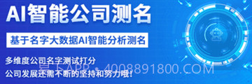 公司起名字大师v1.0.9截图