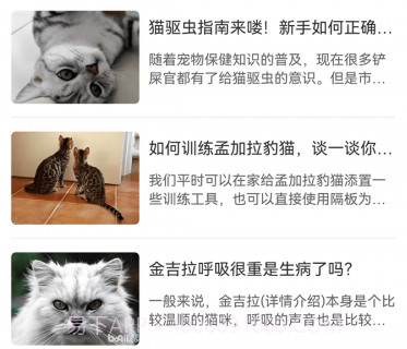 CPCat养宠v1.3.12截图