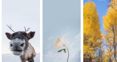 简单壁纸v1.9截图
