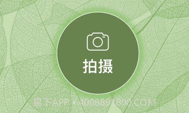 一叶识木v3.12截图