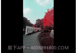 幻熊滤镜剪辑v1.7截图