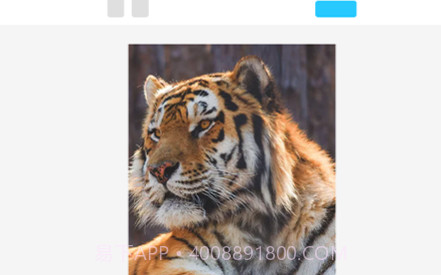 多多图片编辑修图神器v1.12截图