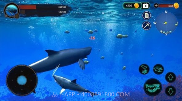 抹香鲸模拟器1.0.8截图