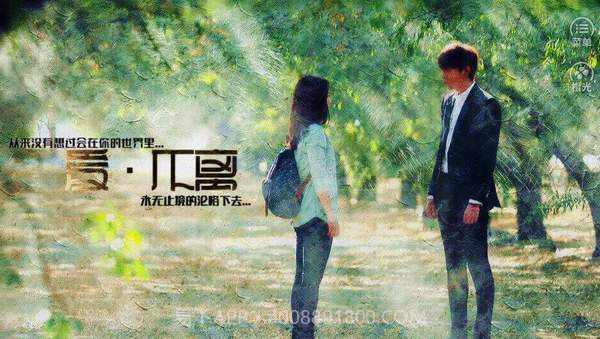 爱不离v3.4截图