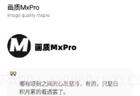 画质mapro最新版V1.11截图