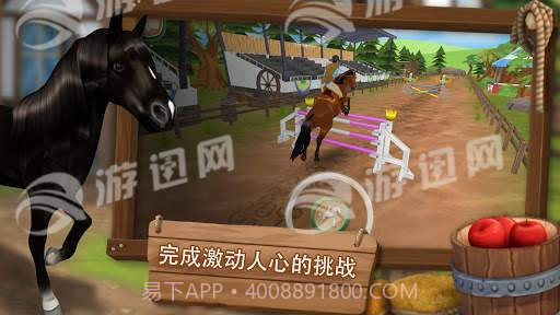 照顾马儿们1.13截图