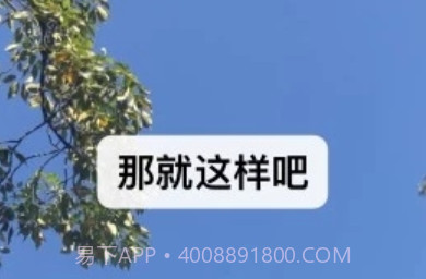 微信8.0.3正式版v1.7截图