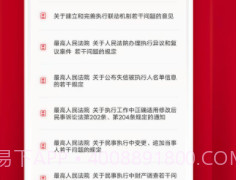 执行文书v1.9截图