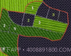 stitch刺绣v4.11截图