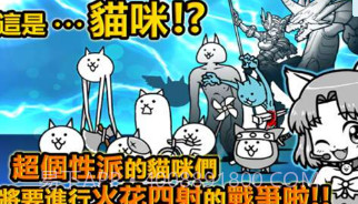 猫咪大战争v11.9.13截图