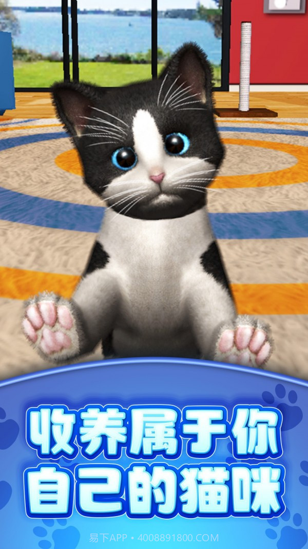 真实模拟宠物v1.0.16截图