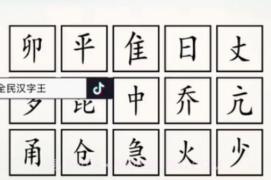 全民汉字王v1.12截图