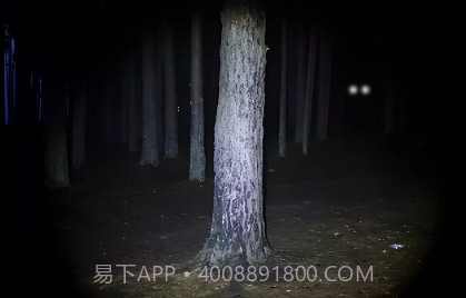永远不要尖叫v2.0.9截图
