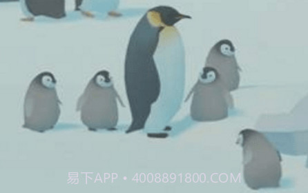 企鹅饲养员v1.14截图