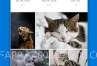 OneDrive ios版V11.49.13截图