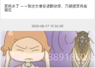 复旦耳鸣rsv1.1.9截图
