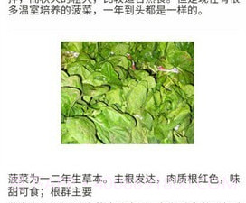 口袋菜农v0.13截图