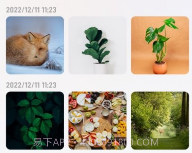一键扫描全能王v1.0.13截图