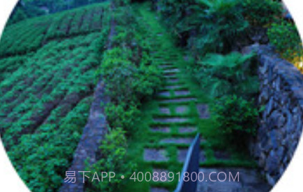 Ocamera appv2.5.13截图