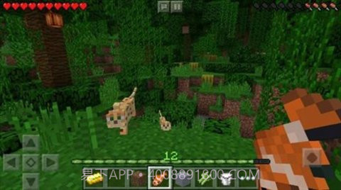 我的世界快照版（Minecraft）1.20.0.29截图