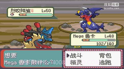 口袋妖怪永恒之沫3.0续版金手指v4.5.10截图