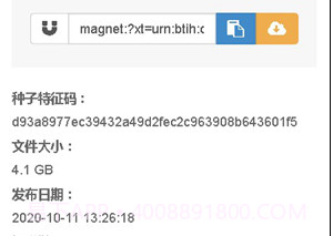 无极磁链媒体导航v1.11截图