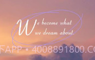 全能盒免费v1.13截图