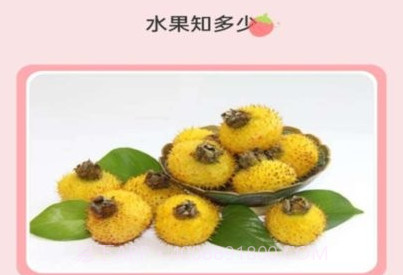 水果宝典百科知识平台v1.0.12截图