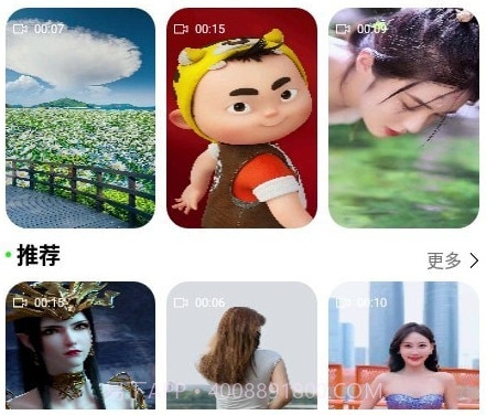 飞花动态壁纸v1.1.17截图
