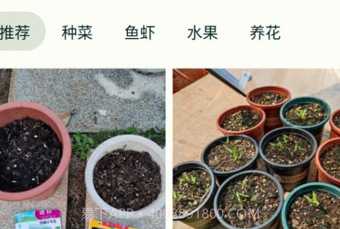 鱼菜记v1.0.14截图