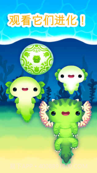 Axolochi 萌宠蝾螈v2.31.12截图