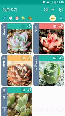 多肉成长记v3.2.15截图