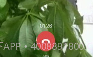 找帮防盗采集端v7.8.0703.10截图