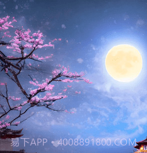 非凡ai画画v1.0.16截图