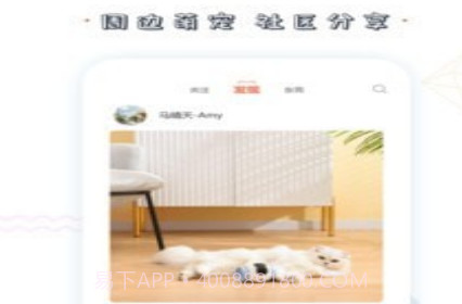 MeowMatev 1.1.15截图