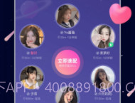 处CPv2.8.11截图