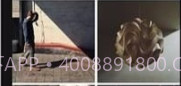 VSCO照片处理器v1.13截图