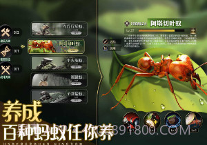 小小蚁国单机版v1.55.15截图