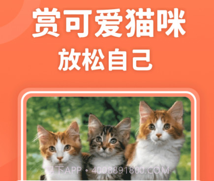 招财进猫v350.17截图