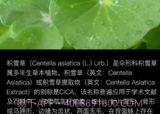 积学草v1.0.14截图