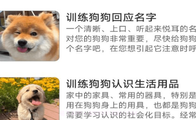 动物对话翻译器中文版免费v1.0.15截图