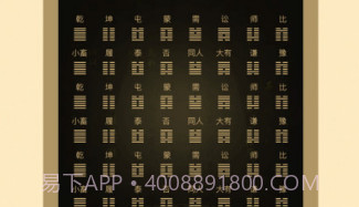 天天易问v1.11截图