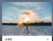 VNv1.13.15截图