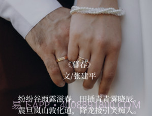 语鹿v1.0.16截图