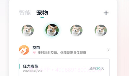 滴宠生活v1.0.2.17截图