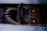 诡秘玩偶5v1.14截图