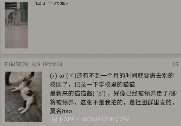 ACGN社区v1.5.22截图
