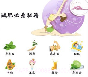 夏青体态大师v6.17截图