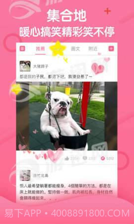 段友神评社免费版v1.94截图
