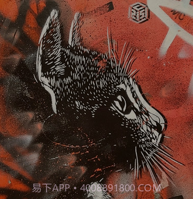 lr壁纸大全v1.15截图